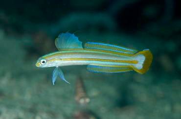 �����@�΍�